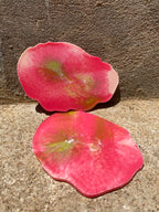 Edge - Strawberry Matcha
