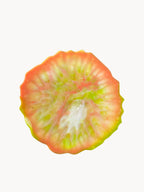 Core - Garden