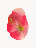 Edge - Strawberry Matcha