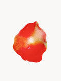 Edge - Hibiscus